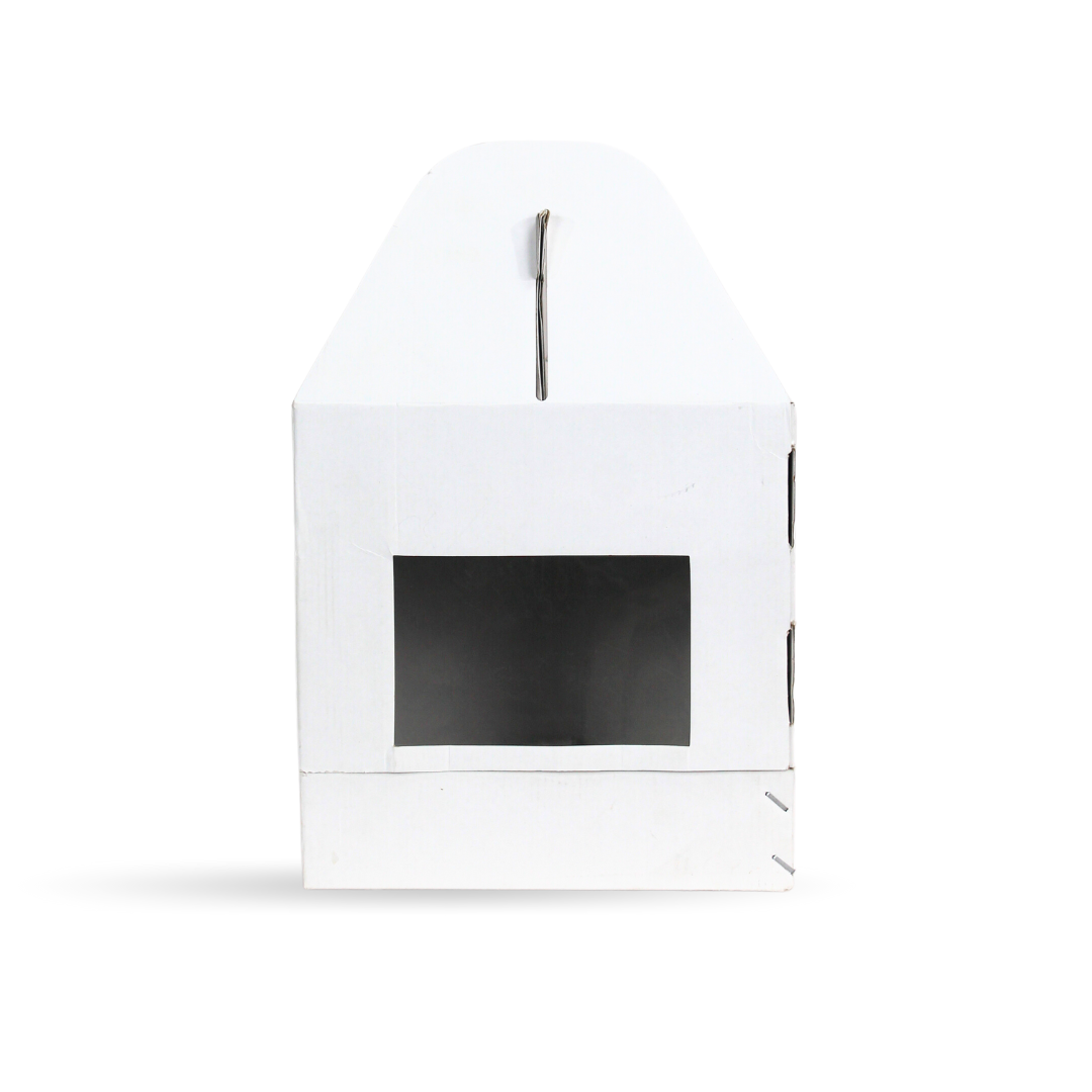 White Tall Cake Box- 10x10x10 inches