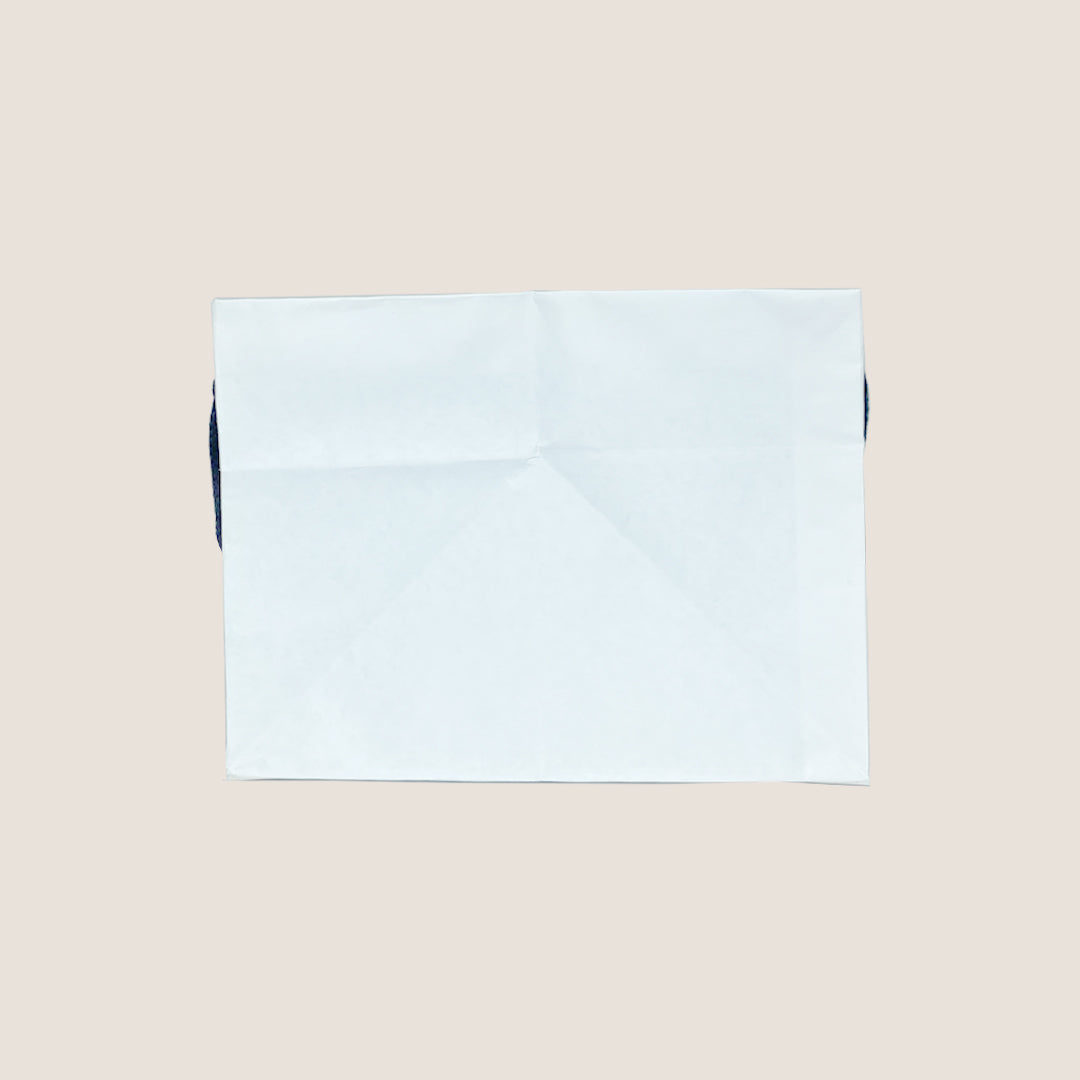 White PaperBag- 10x8x6 inches