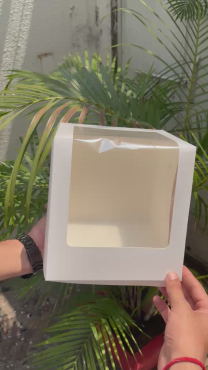 Tall Cake Box- 8x8x8 inches White