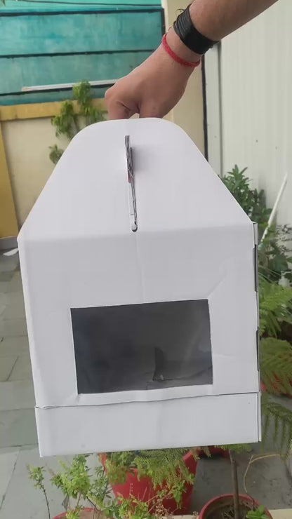 White Tall Cake Box- 10x10x10 inches